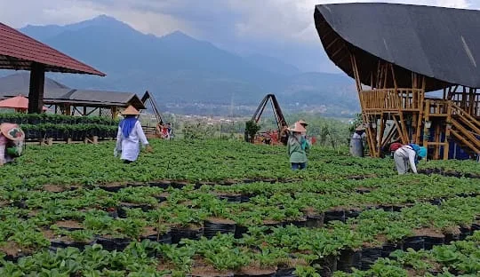 Desa Wisata Oro Oro Ombo