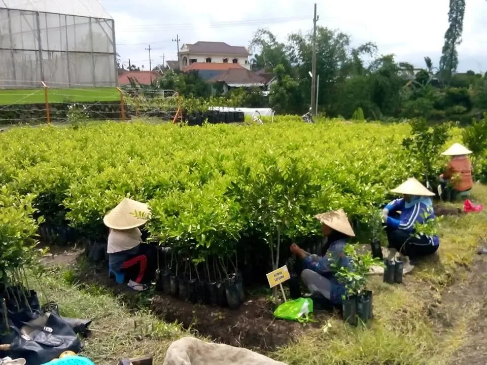 Desa Wisata Kampoeng
