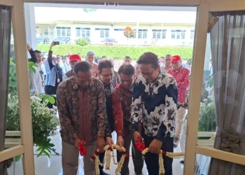 vokasi umm