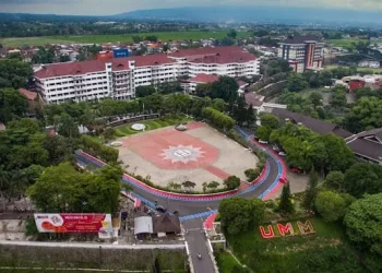 20 Kampus