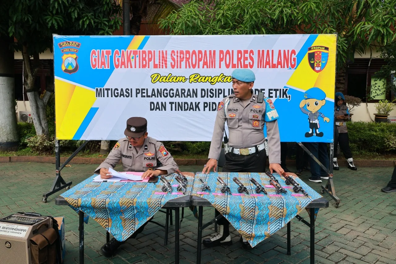 Pengecekan senjata api