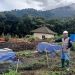 UB Malang Kembangkan Teknologi Canggih untuk Pemantauan Perubahan Iklim di Cangar Kota Batu