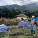 UB Malang - UB Malang Kembangkan Teknologi Canggih untuk Pemantauan Perubahan Iklim di Cangar Kota Batu