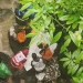 Tewas di Sungai
