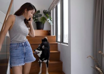 Hewan peliharaan menyambut pemiliknya pulang. Foto/Freepik
