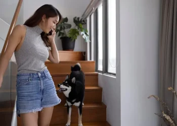 Hewan peliharaan menyambut pemiliknya pulang. Foto/Freepik