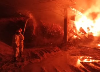 Petugas melakukan pemadaman di gudang serbuk kayu yang terbakar. Foto: Damkar Kabupaten Malang