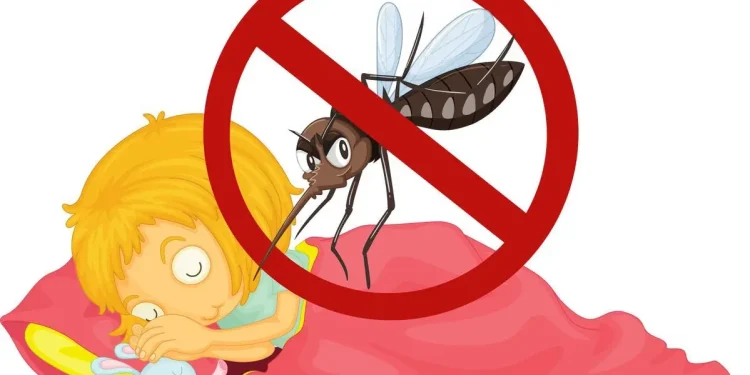 Ilustrasi demam berdarah sebagai wabah yang sering muncul di musim hujan. Foto/Pinterest