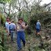 Penanganan petugas di lokasi kejadian pohon tumbang. Foto: BPBD Kota Batu