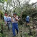 Penanganan petugas di lokasi kejadian pohon tumbang. Foto: BPBD Kota Batu
