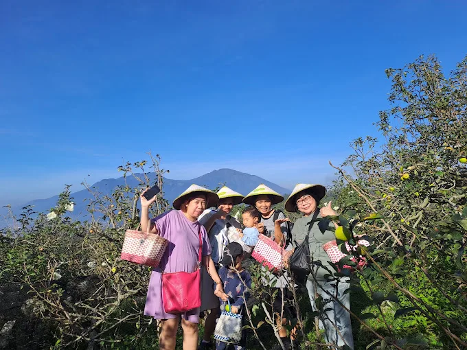 Wisata Petik Apel Green Garden./Foto: Google Review Petik Apel Green Garden.