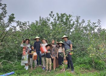 Wisata petik buah di Malang yang dapat menjadi referensi destinasi liburan bersama keluarga. /Foto: Google Review Petik Apel Green Garden