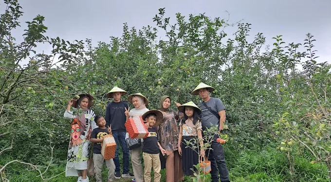 Wisata petik buah di Malang yang dapat menjadi referensi destinasi liburan bersama keluarga. /Foto: Google Review Petik Apel Green Garden