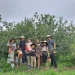 Wisata petik buah di Malang yang dapat menjadi referensi destinasi liburan bersama keluarga. /Foto: Google Review Petik Apel Green Garden