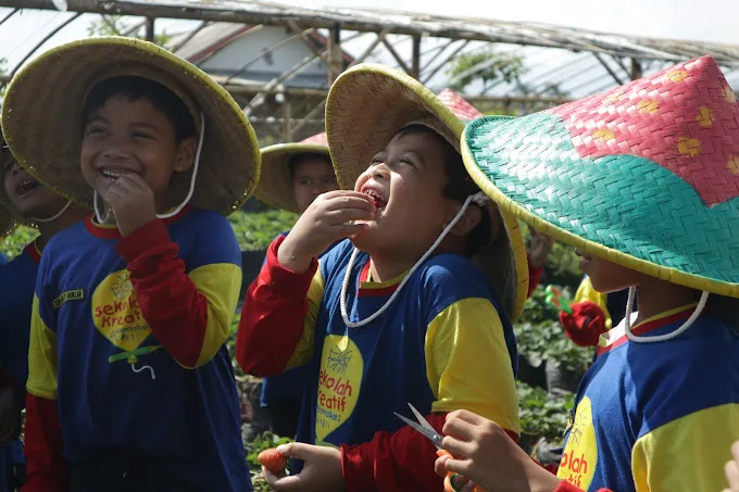 Wisata Petik dan Edukasi Lumbung Strawberry./Foto: Google Review Lumbung Stroberi Official.