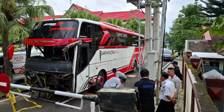 bus pariwisata
