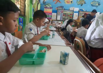 makan bergizi gratis