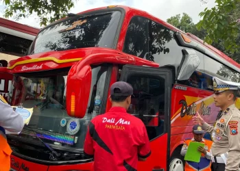bus pariwisata
