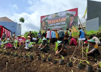 Lahan tidur