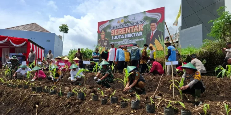 Lahan tidur