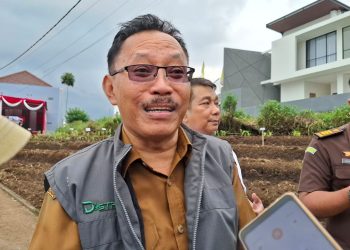 Program Swasembada Pangan