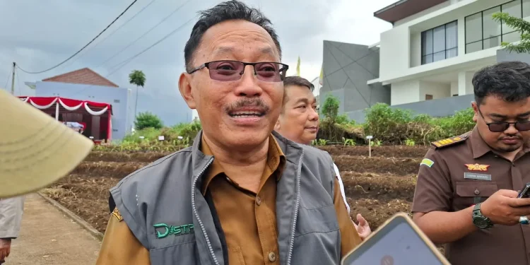 Program Swasembada Pangan