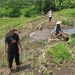 irigasi jebol