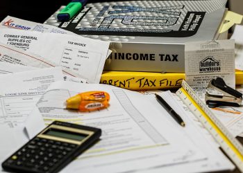 Daftar barang yang kena dan tidak terkena PPN 12 persen. /Foto: Pixabay.com/Stevepb.
