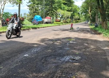 Jalan berlubang di Jalibar Kepanjen. Foto: Aisyah Nawangsari Putri