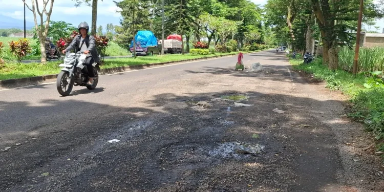 Jalan berlubang di Jalibar Kepanjen. Foto: Aisyah Nawangsari Putri