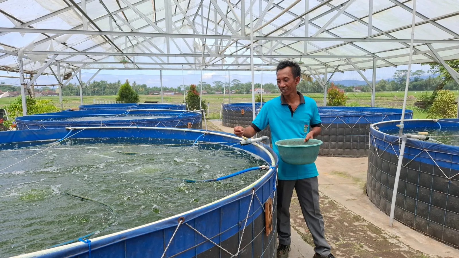 Kolam bioflok Pokmas Nila Tirta bisa menampung ribuan ikan nila dan lele. Foto: Aisyah Nawangsari Putri