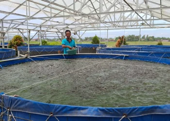 Bantu Lansia dan Anak Stunting, Pokmas di Sumberpucung Bagikan Nila dan Lele Gratis
