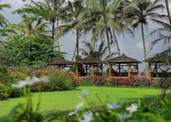 Taman Refugia Jati Kepanjen, Kabupaten Malang yang cocok jadi destinasi wisata bersama keluarga. /Foto: Google Review Taman Refugia Jati/Arfan Masruffi.