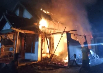 Kebakaran rumah di Brongkal Pagelaran. Foto: Damkar Kabupaten Malang