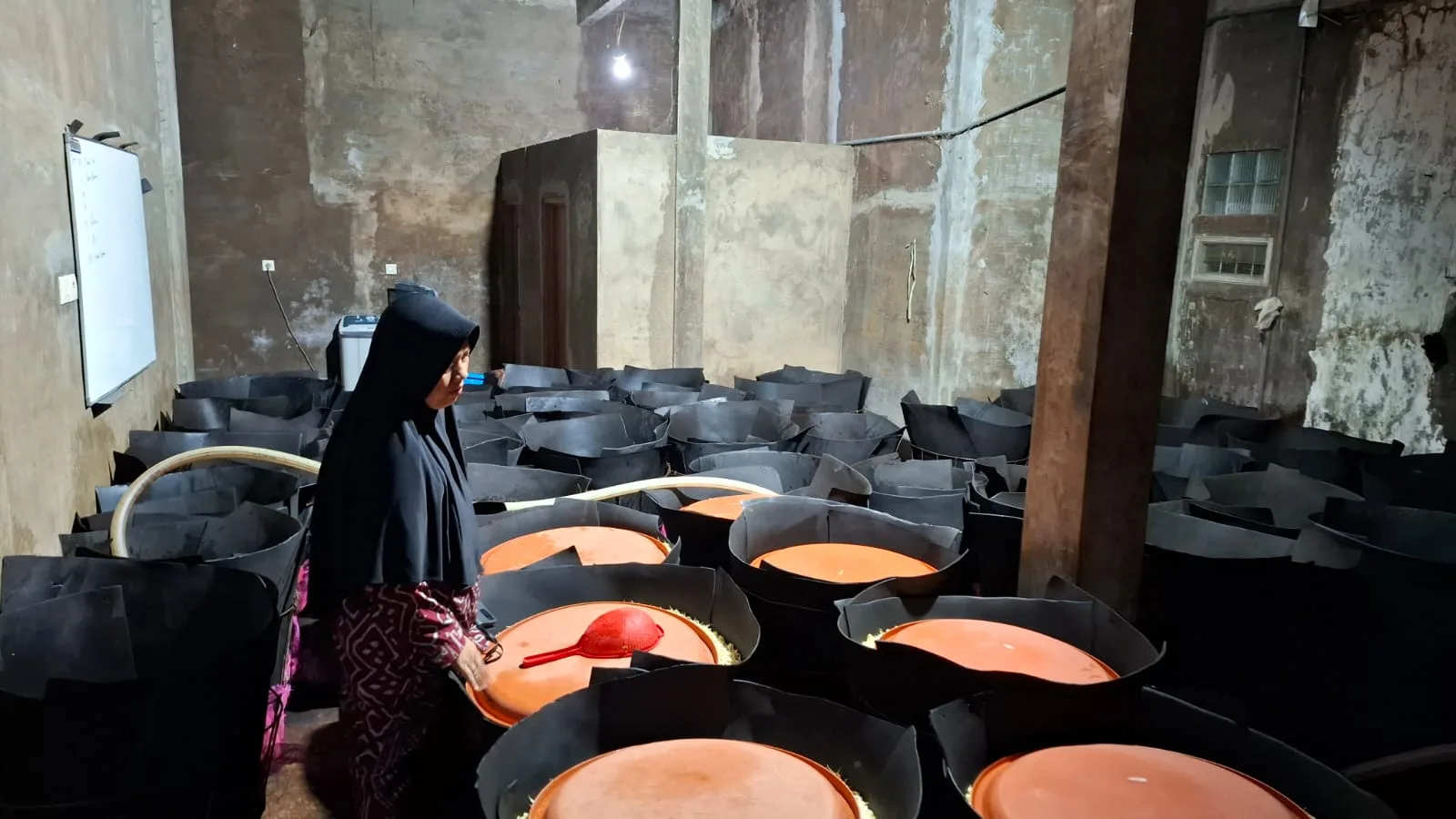 Rumah produksi taoge milik Yati di Kepanjen. Foto: Aisyah Nawangsari Putri