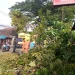 Lokasi pohon tumbang di Turen. Foto: BPBD Kabupaten Malang