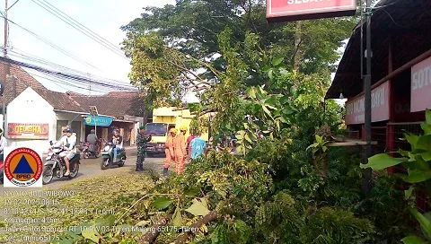Lokasi pohon tumbang di Turen. Foto: BPBD Kabupaten Malang