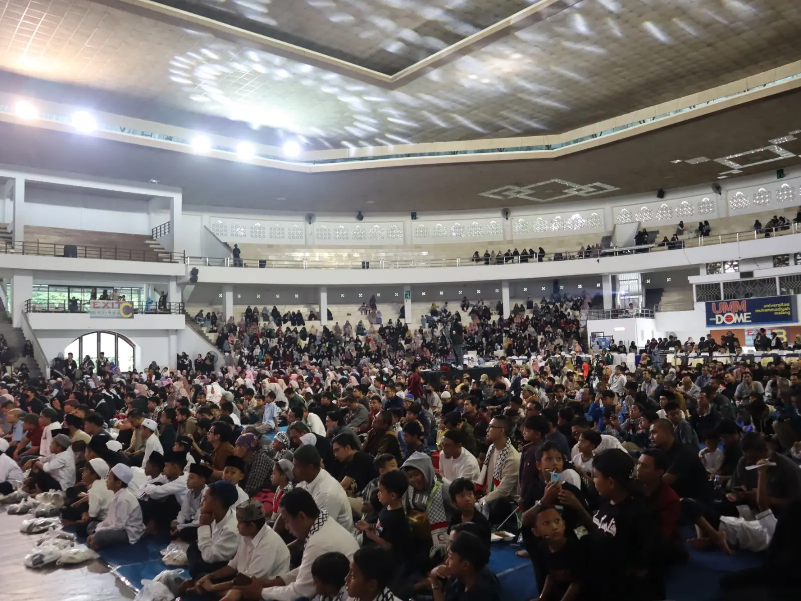 Cinta Palestina