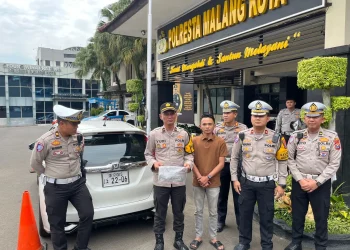 viral mobil plat Jepang