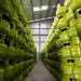 LPG 3 Kg