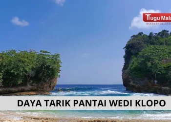 Pantai wedi klopo