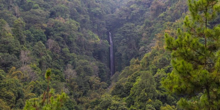Coban Glotak