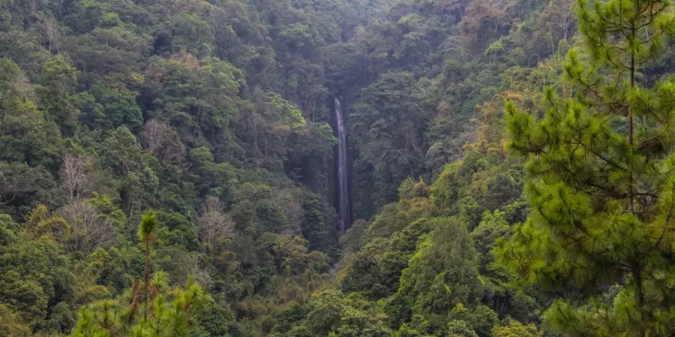 Coban Glotak