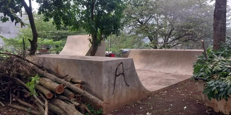 Taman Hutan - Komunitas BatuSkate Arena Skate Park di Taman Hutan Kota Bondas Tak Representatif