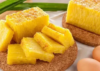 Bika AMbon viral di Tiktok