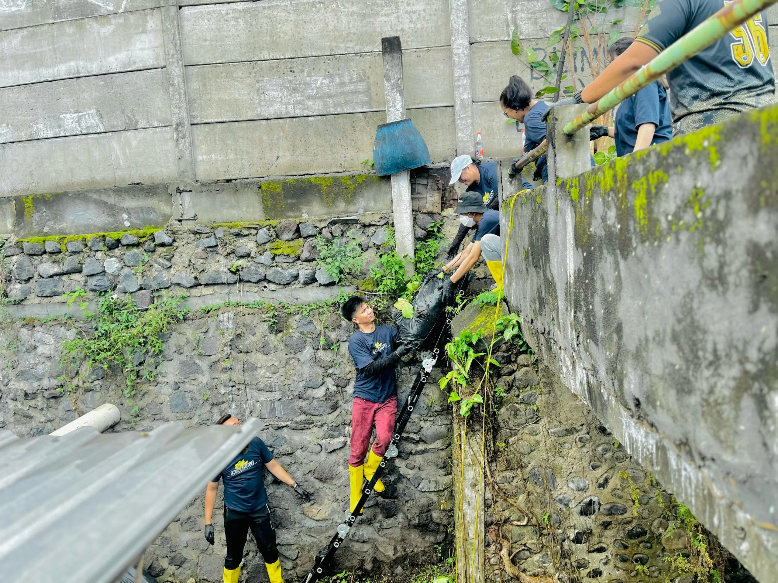 bersih bersih