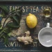 Penawar Herbal Medicine