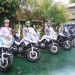 Pelanggaran lalu lintas