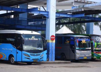Jadwal Bus