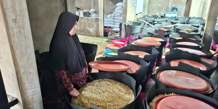 Yati menunjukkan taoge yang ia produksi. Foto: Aisyah Nawangsari Putri